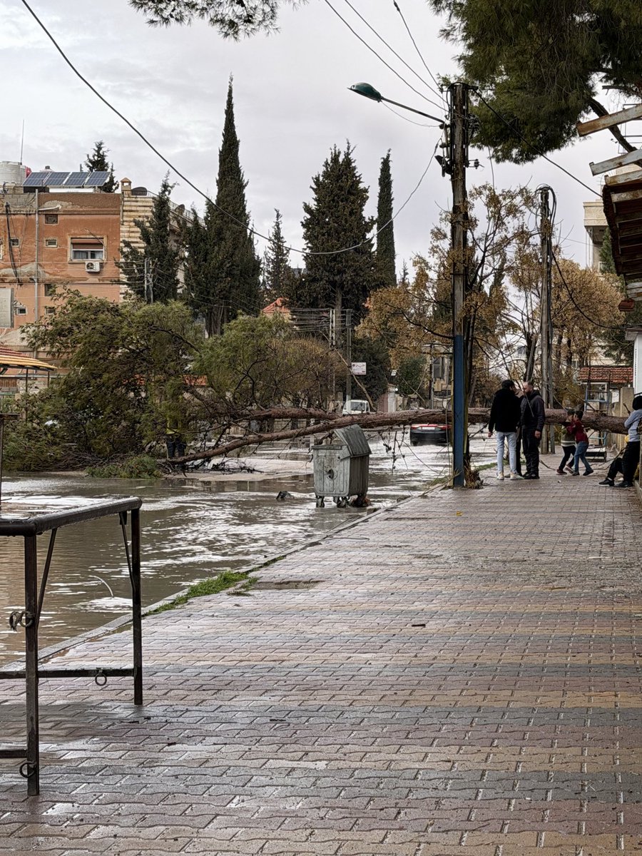 LAMA🇸🇾 tweet media