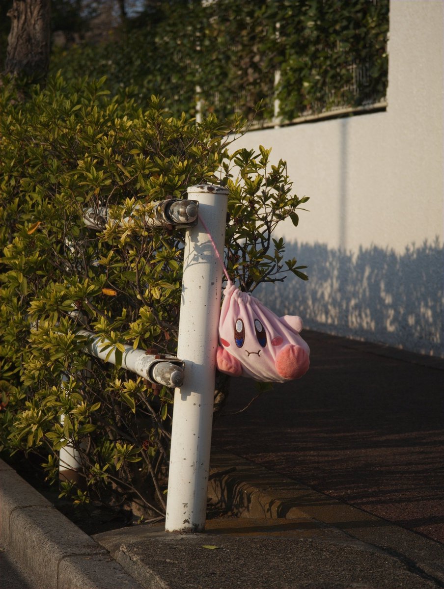 いとうり / itouri tweet media