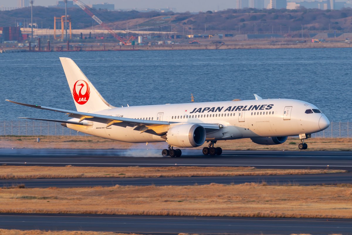 MLuftfahrt's tweet photo. 一旦は3タミに向かったのですが、北米帰りでも、やはり専用機は、C滑走路に降りそうだということで慌てて２タミへ。ちょうどモノレールが来てくれて１０分ほどでデッキーデッキを移動できました。
直前のJL82を出迎えます。
2026.3.21　17:22　JL82　JA832J https://t.co/IhSSANr8Ux