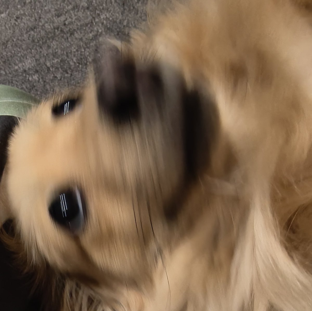 ちらいむ tweet media