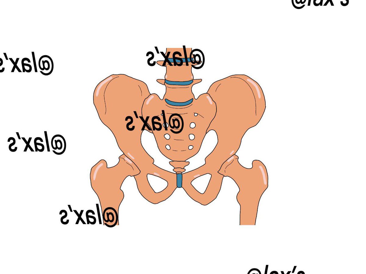 Lax’s || OPEN || LF CLIENTS🌷 tweet media