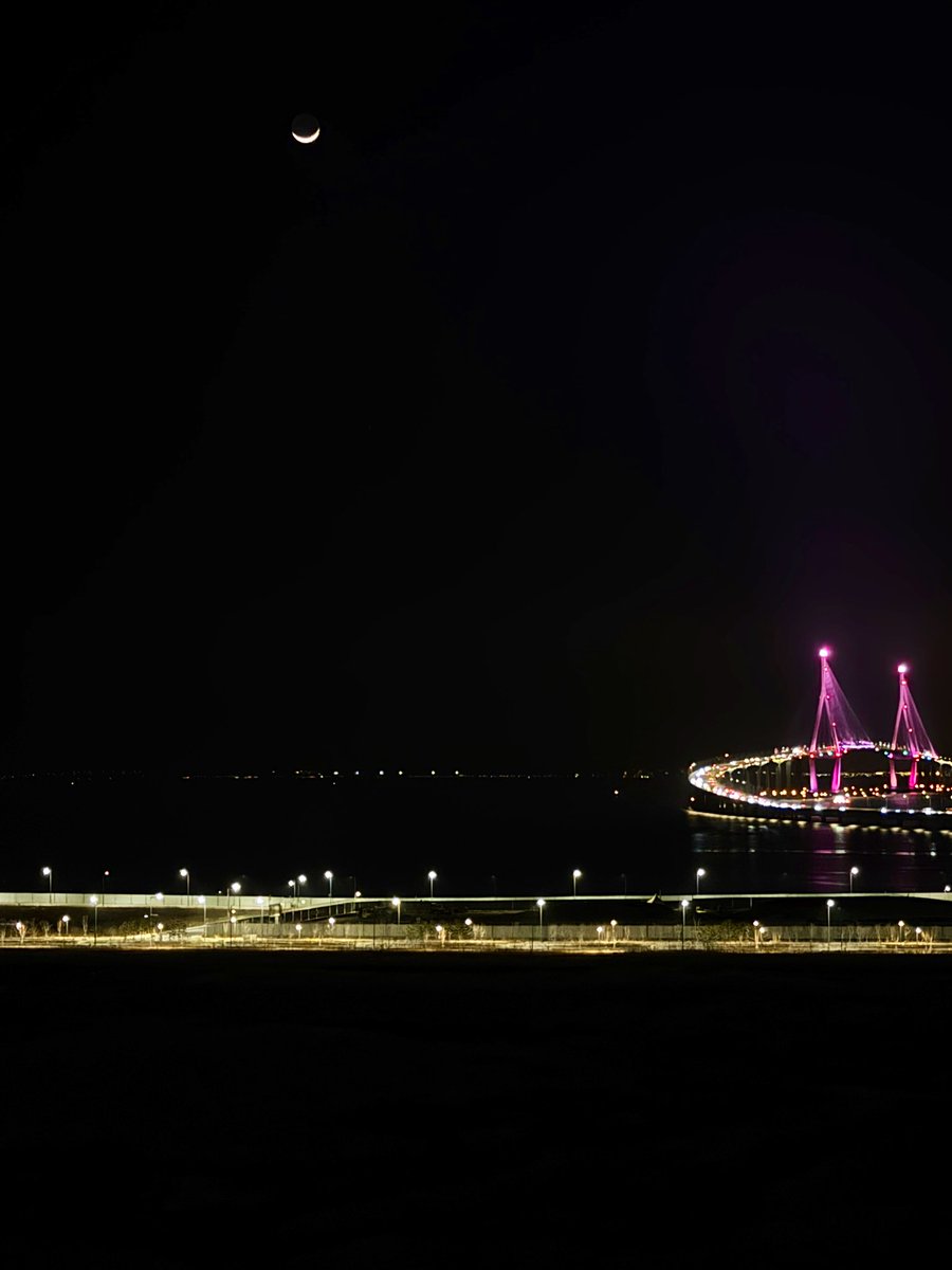 바이오매니아 tweet media