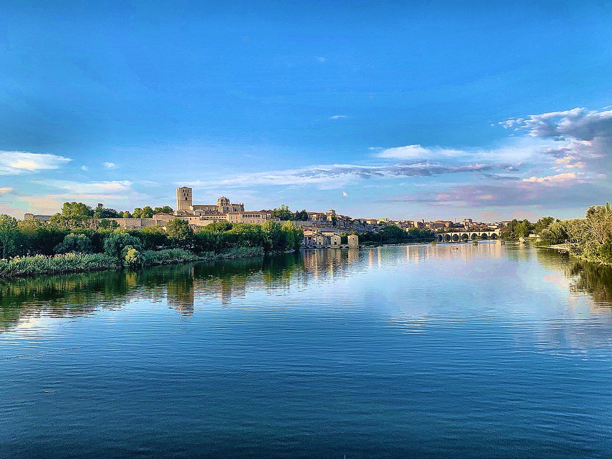 Breverías tweet media