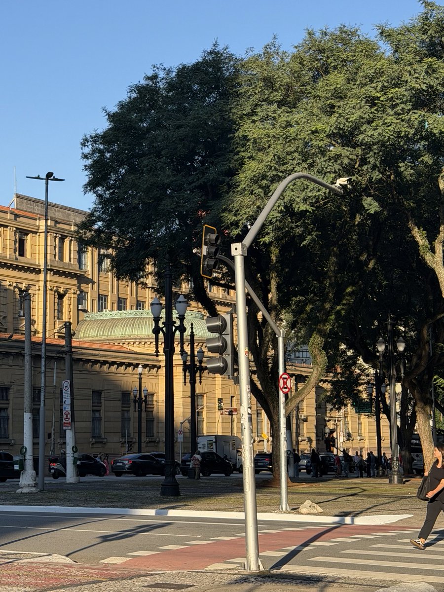 rhapsodybin tweet media