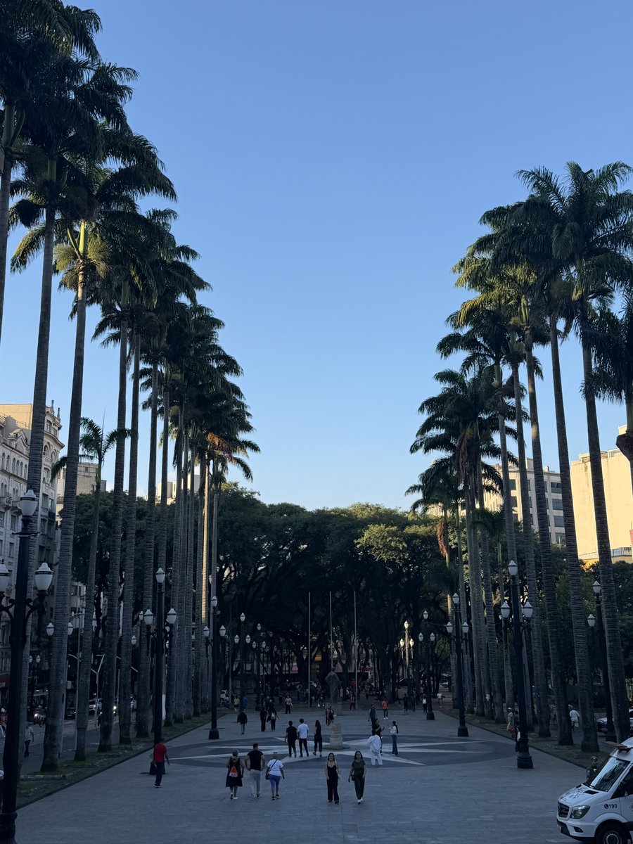 rhapsodybin tweet media