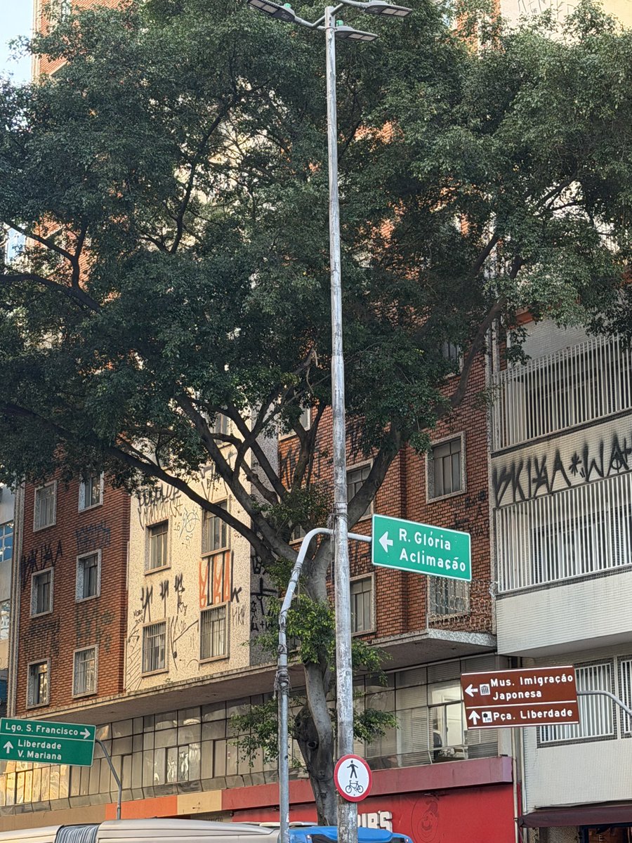 rhapsodybin tweet media