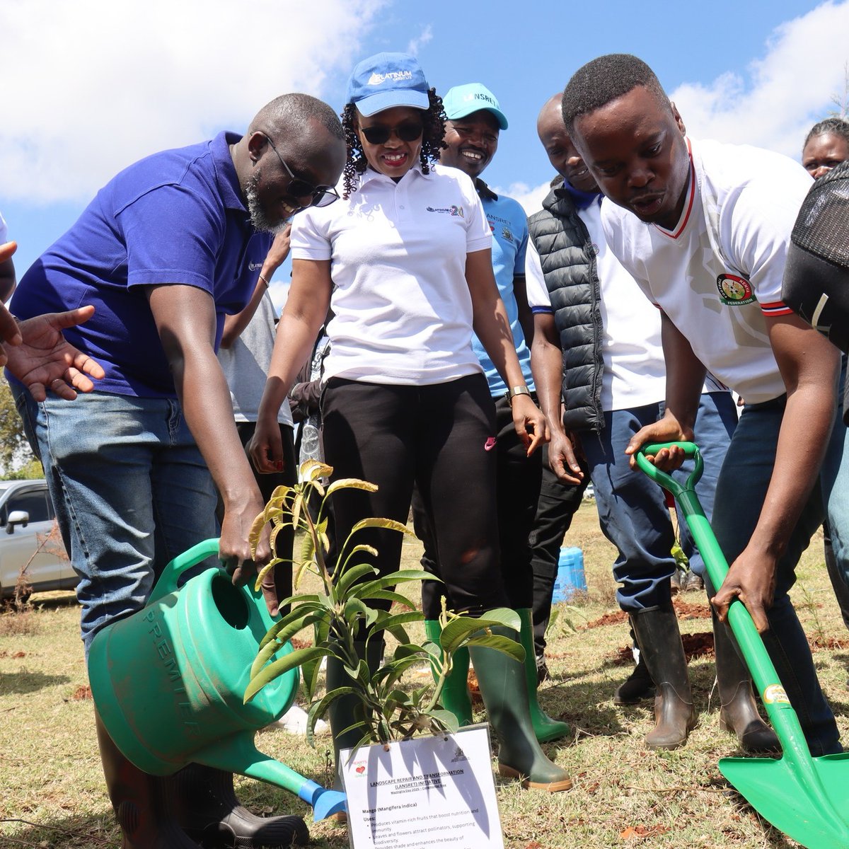 PlatinumCKenya's tweet photo. Soil between our fingers, smiles on our faces, and trees in the ground — that’s what success looks like!  In 2025, the journey began with the planting of 10,589 trees—a meaningful first step toward restoring ecosystems and strengthening the natural environments that sustain us.  As we commemorate International Forest Day, we reaffirm our commitment through the Landscape Repair and Transformation (#LANSRET) Programme —a partnership with @HeartsOfGreen, @uonbi Wangari Maathai Institute for Peace and Environmental Studies, and @KeForestService that continues to take root. So far this quarter, the initiative has grown to 18,000 trees planted, reflecting what is possible when shared purpose meets sustained action.