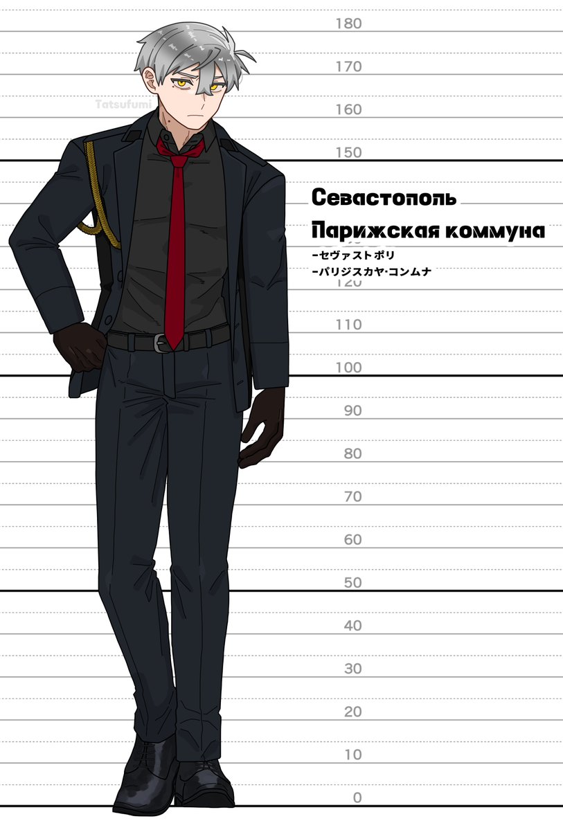 🔞ボスポラス海峡を通れない空母 tweet media