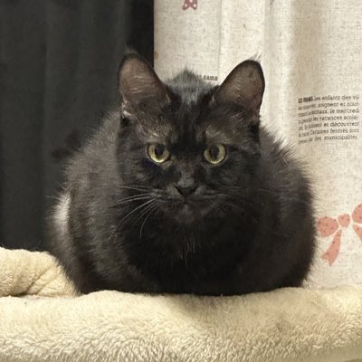 Jason4649_'s tweet photo. #新しいプロフィール画像 https://t.co/GdcXpXIEFl