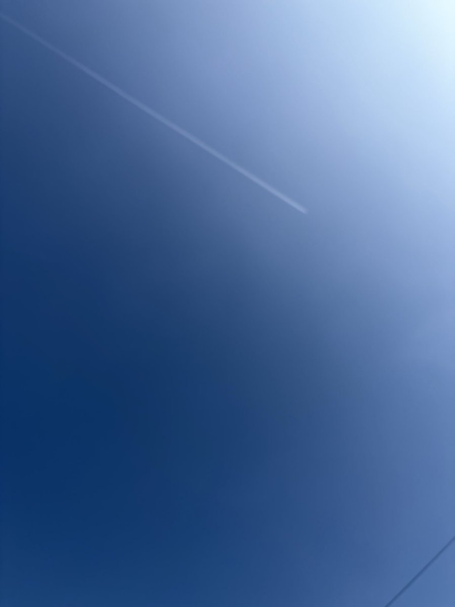 Holly Nanu tweet media