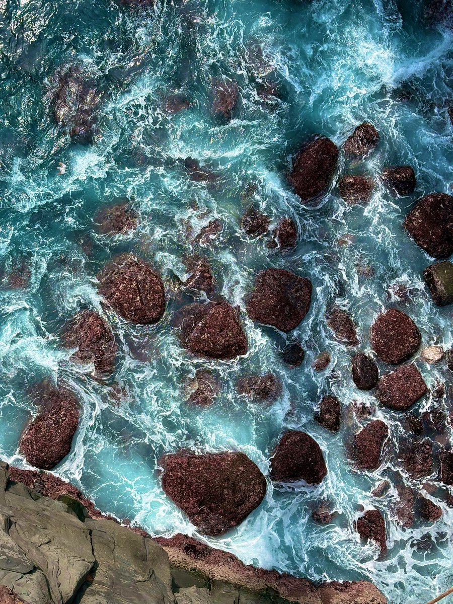 Betty Betty tweet media