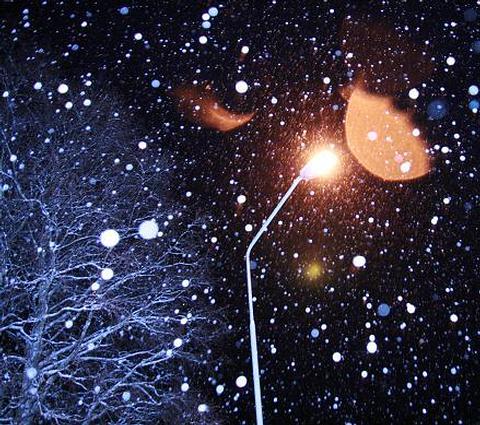 sunshiners 🌻 tweet media