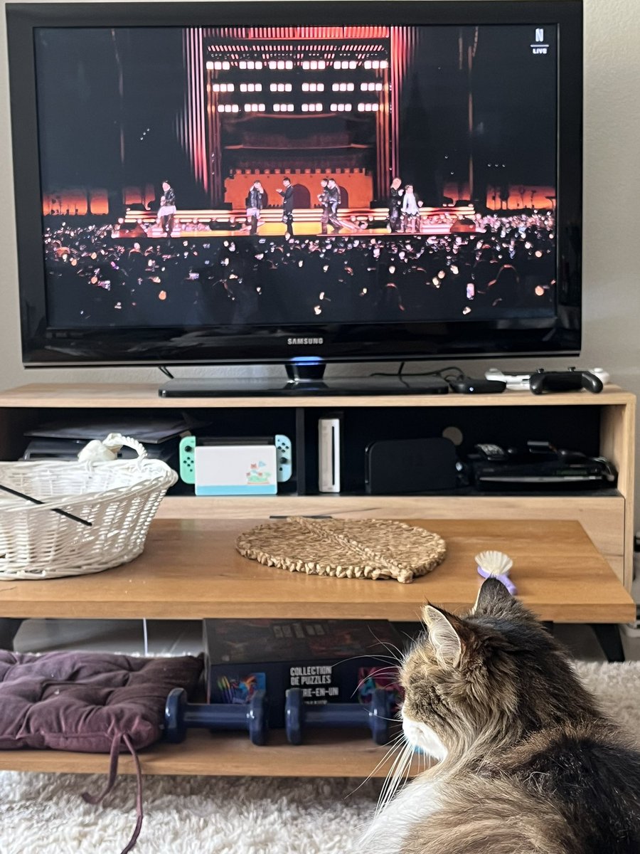 eli³³³ tweet media