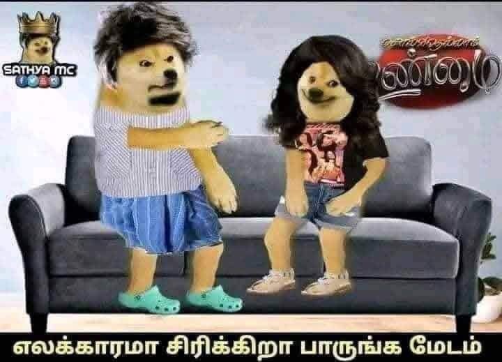 caroline tweet media