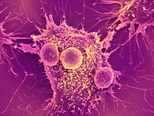 All day Astronomy tweet media