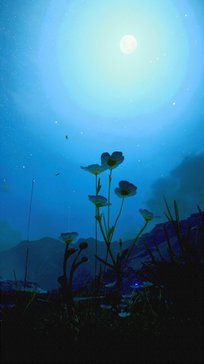 #DeathStranding2 
 #DSPhoto2026_P2