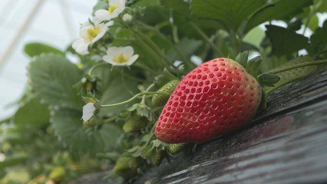 Catherine O'Brien tweet media