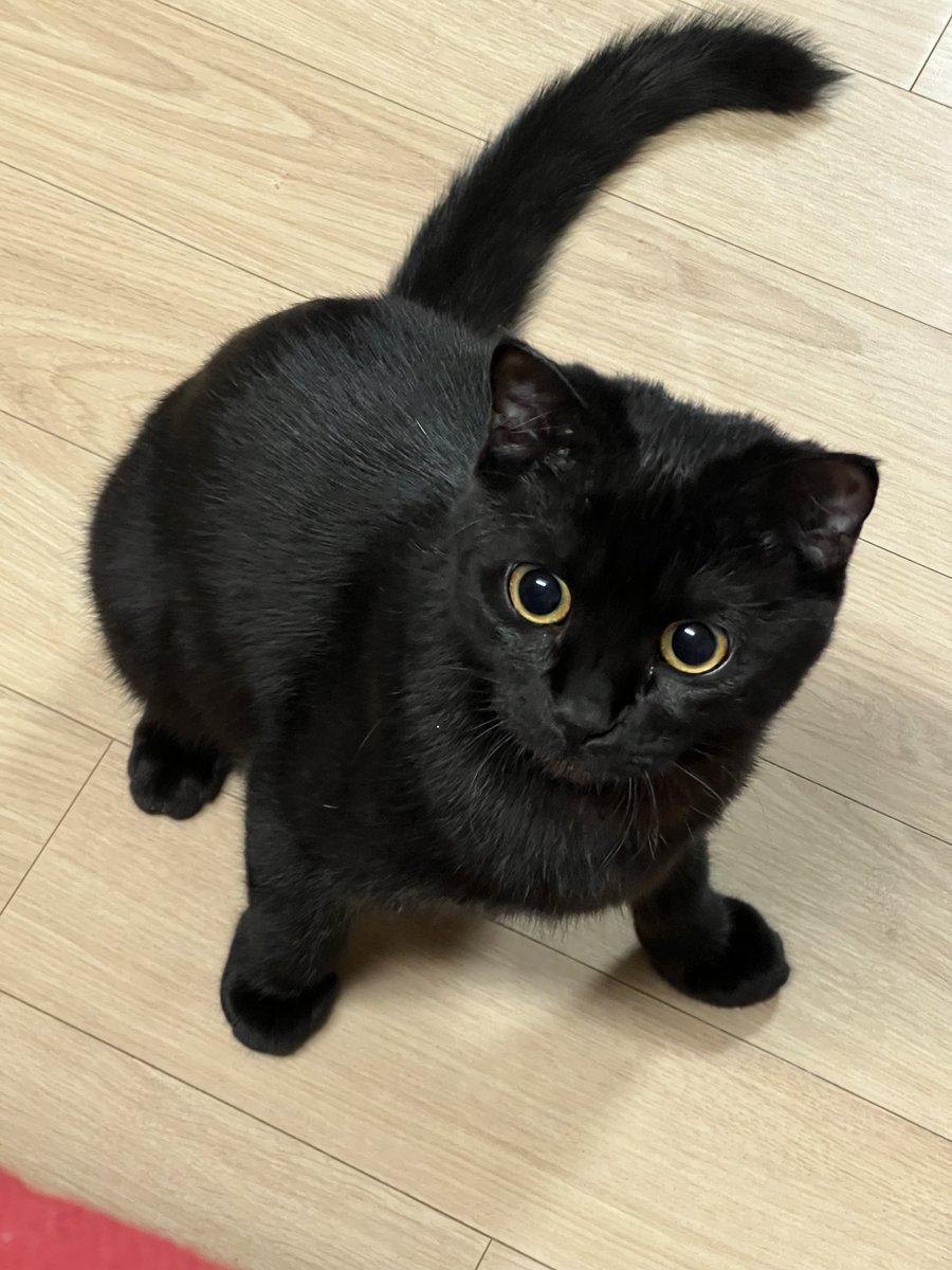 만만섭섭🐱 tweet media