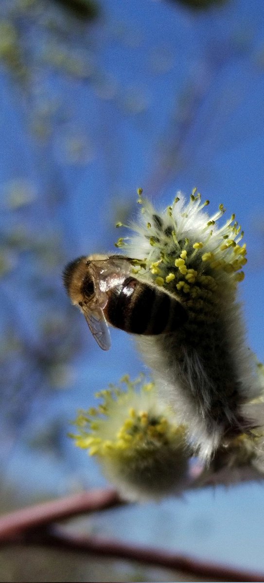 Wormwood tweet media