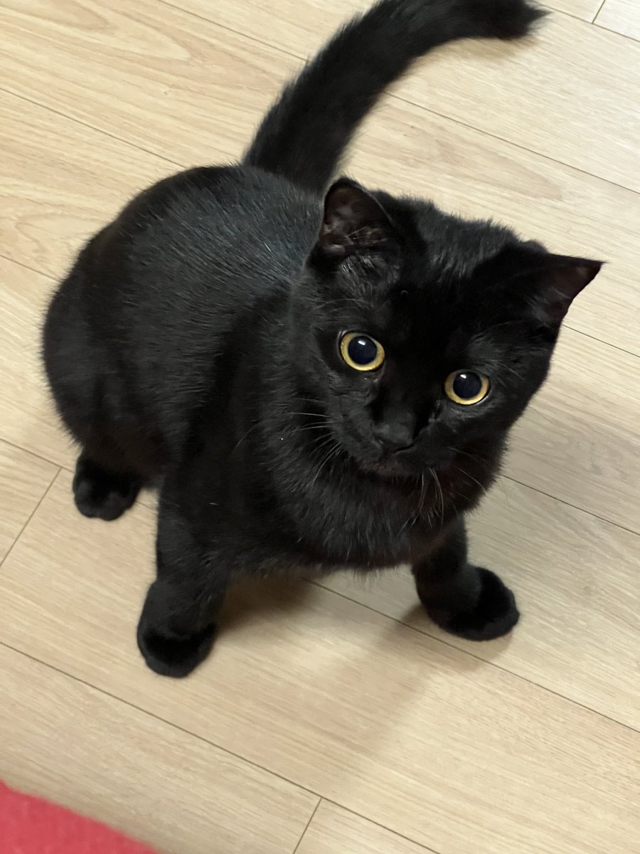 만만섭섭🐱 tweet media