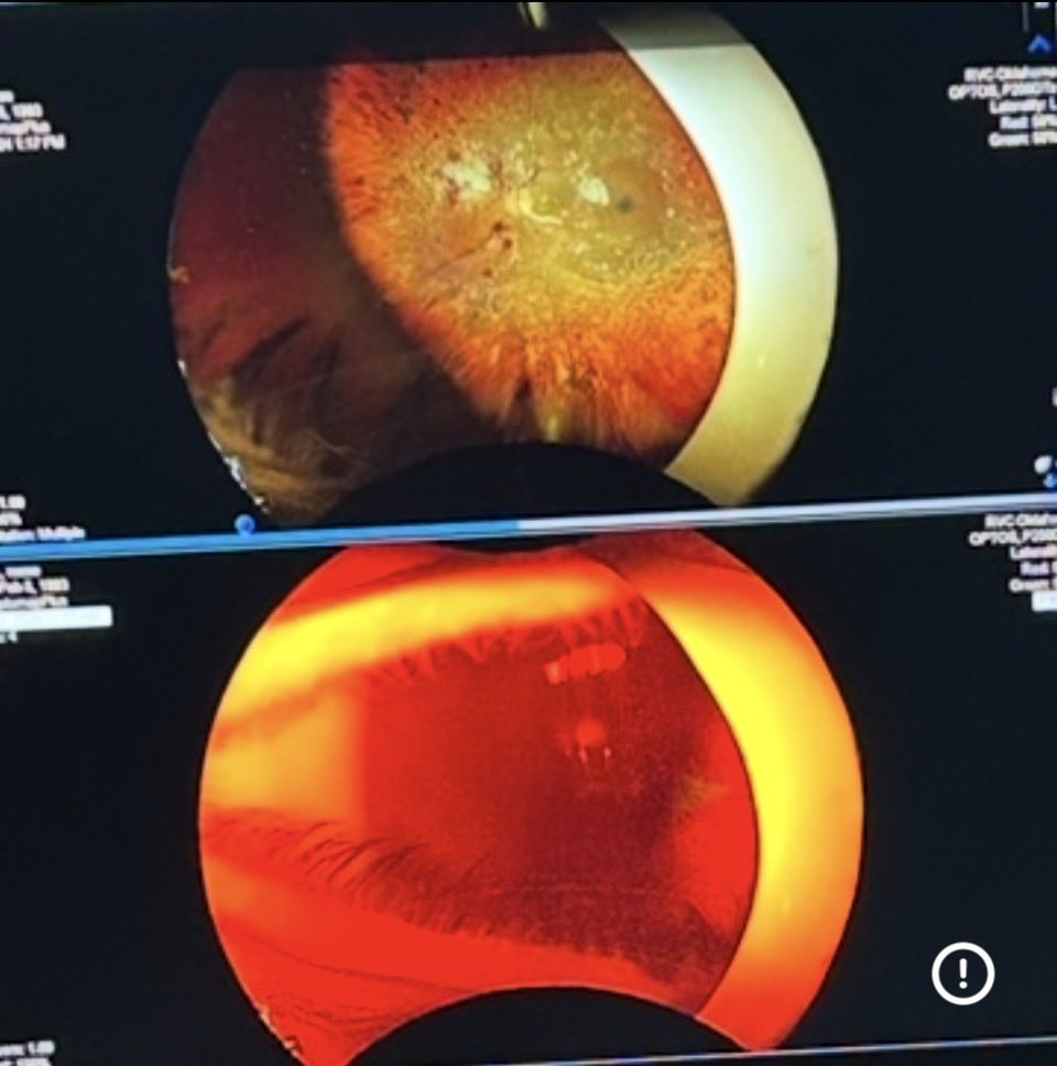 Reese Becker tweet media