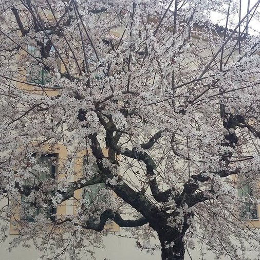 Impontual tweet media