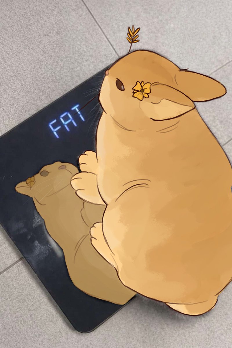 Rockmelon🍈 tweet media