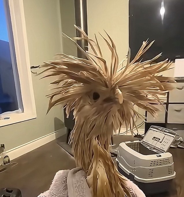 aşk-ı ebedî 🥷🏽🇹🇷 tweet media