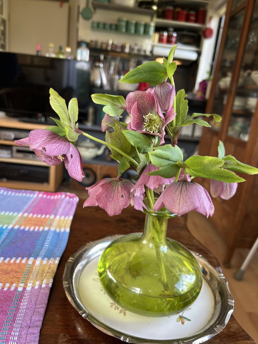 AnitaHvB tweet media