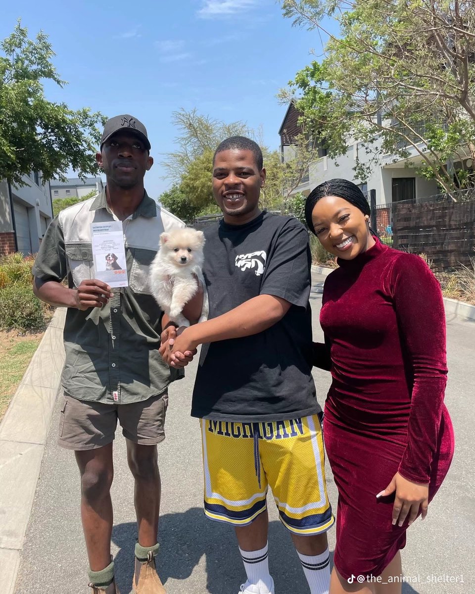 ChrisExcel tweet media