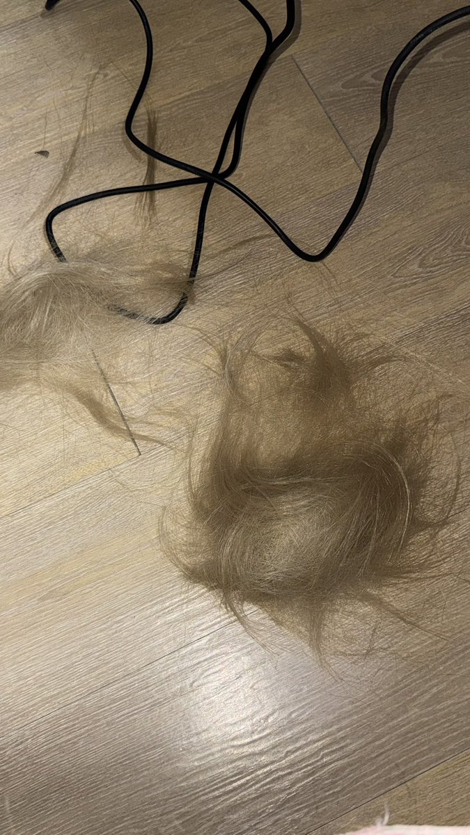 츄네 ちゅね / 부코양일 tweet media