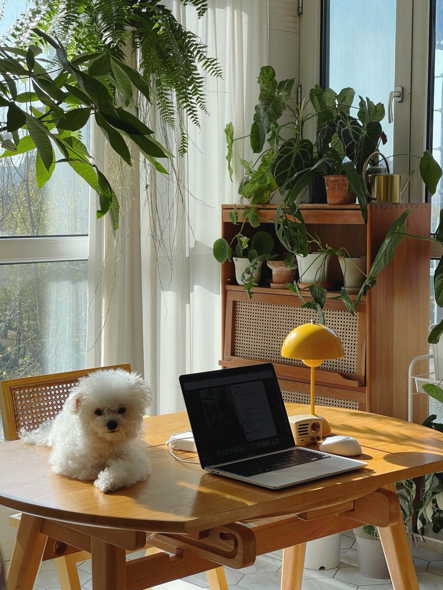 Noel Tengonciang tweet media