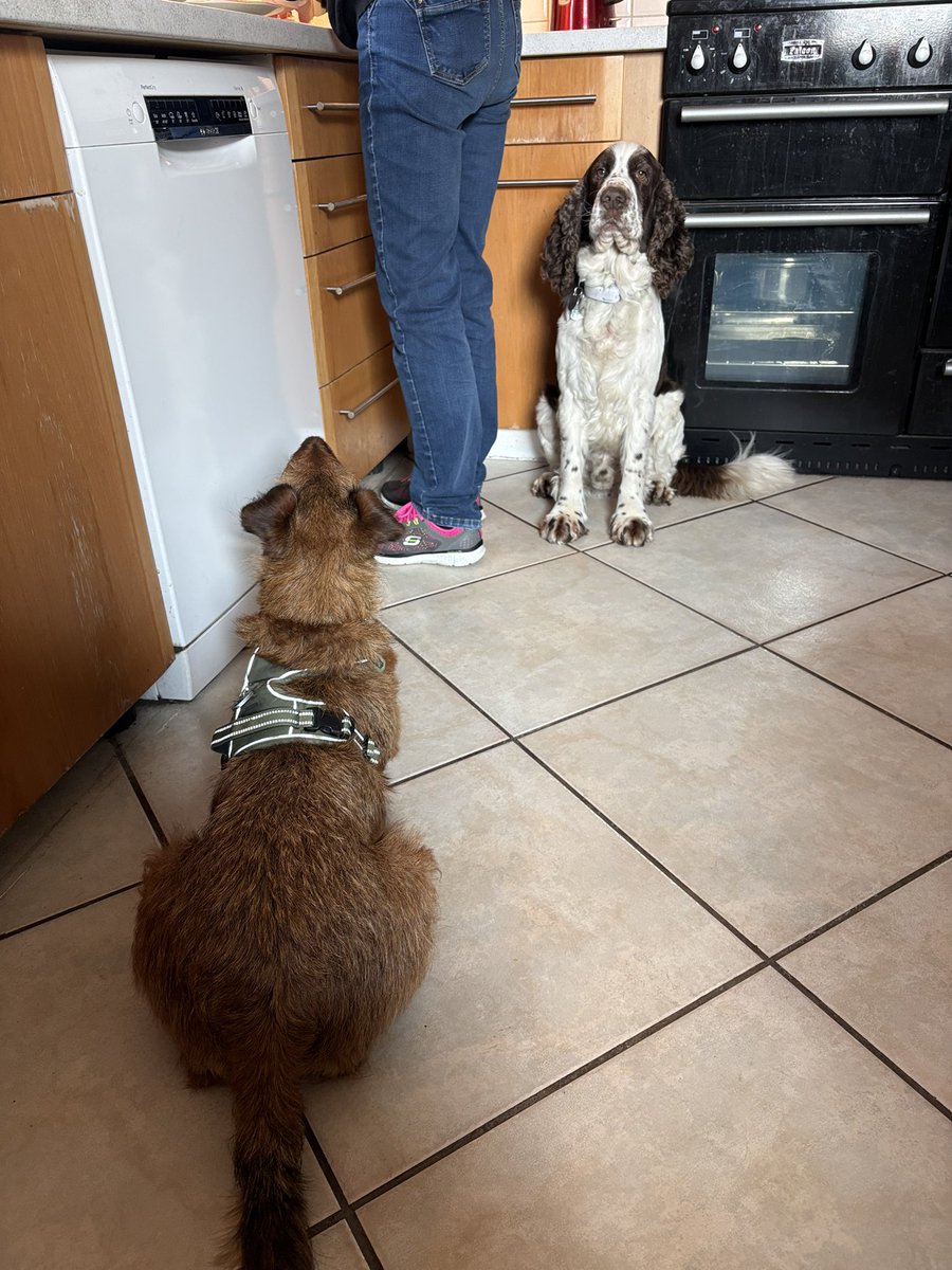 Andy 🇺🇦 tweet media