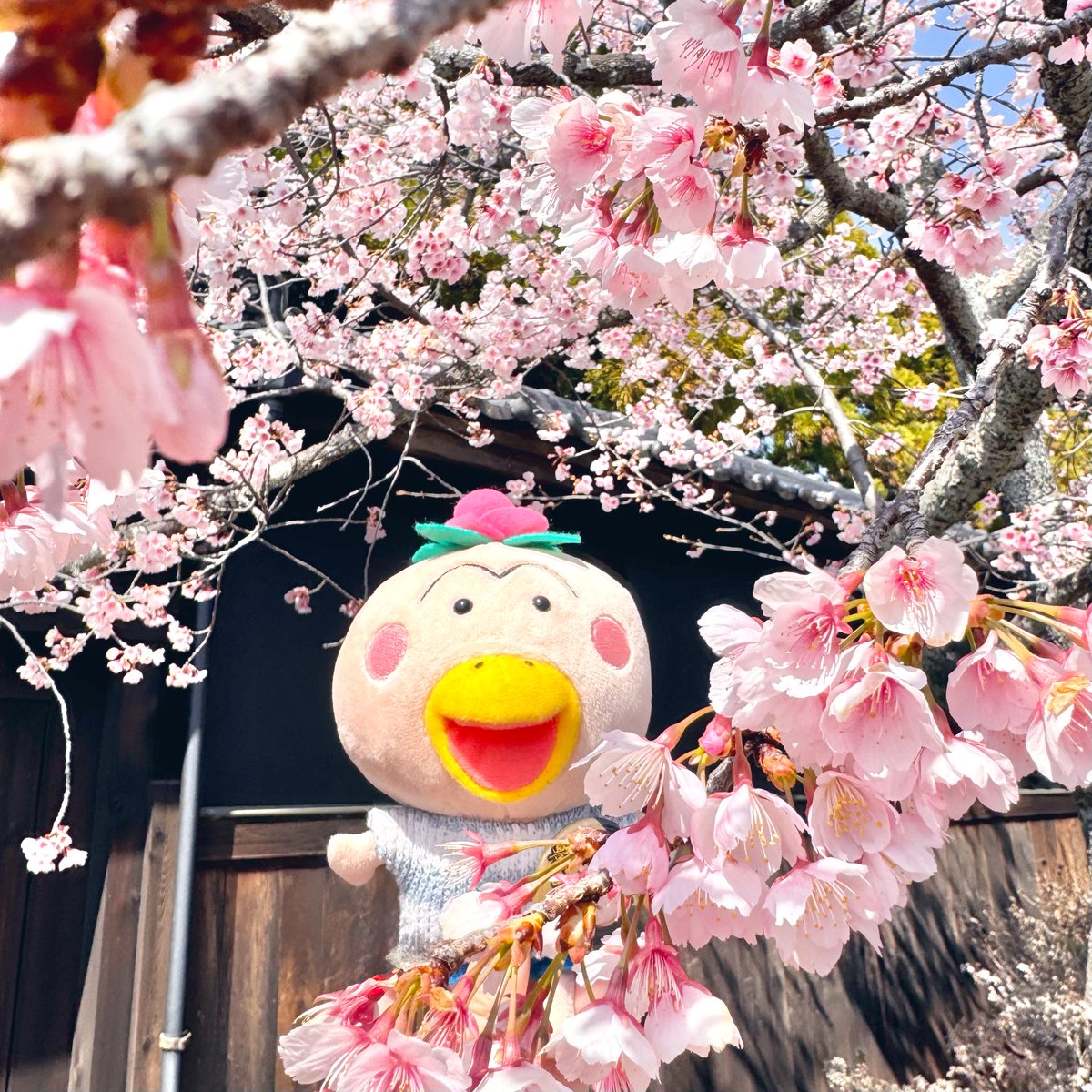 あきやまえみ tweet media