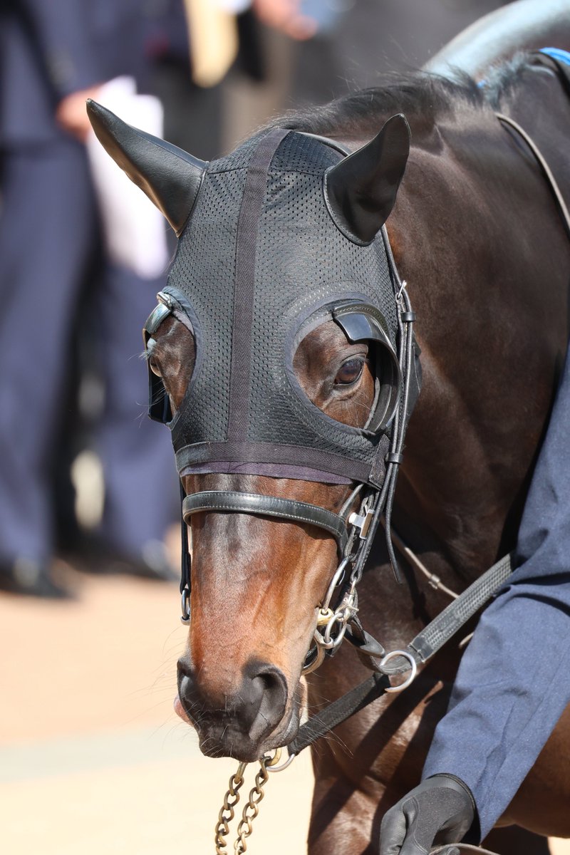 ゆな🐧 tweet media