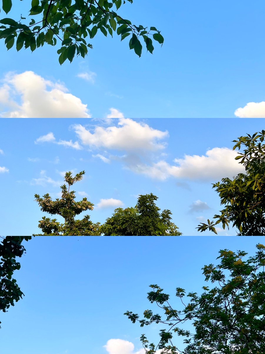 Rafalinos1 tweet media