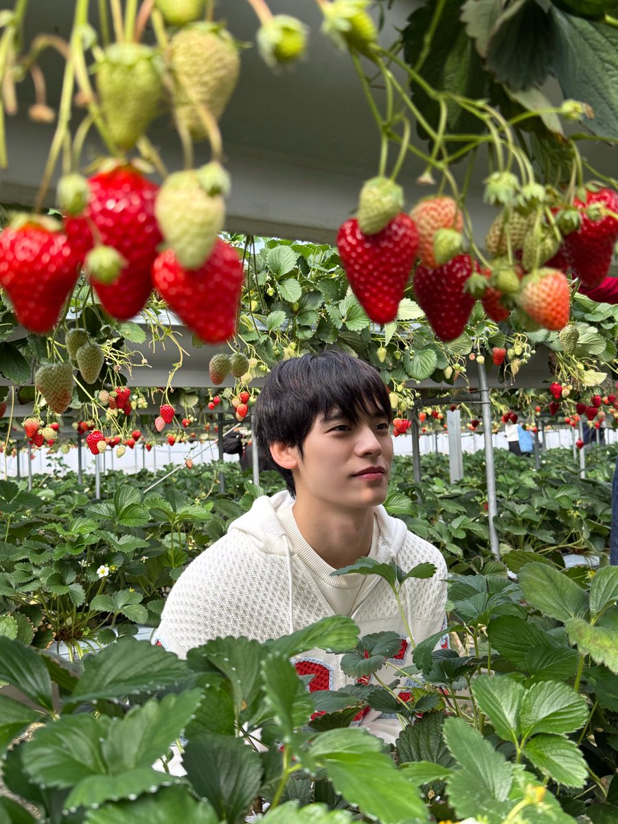 porsuppakarn tweet media