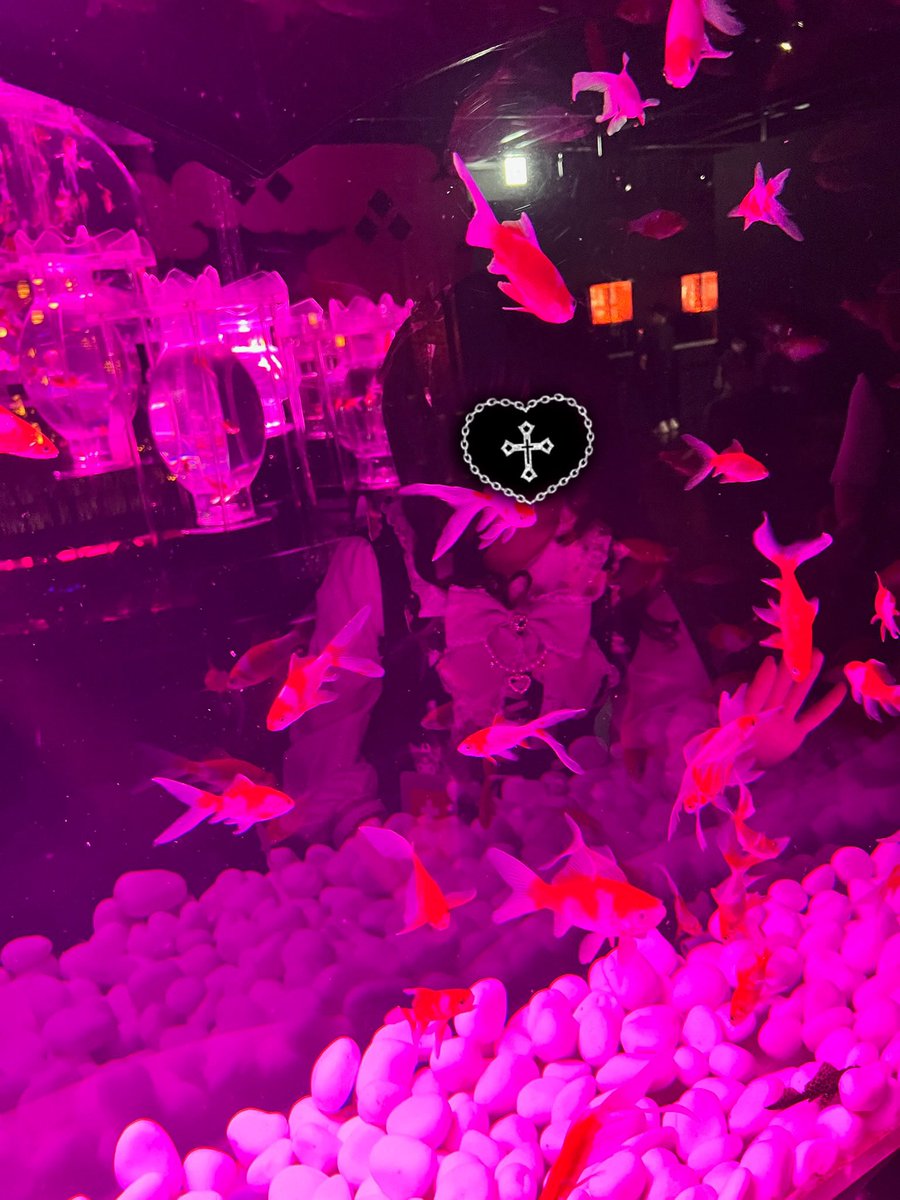 ♱ねるな♱ tweet media