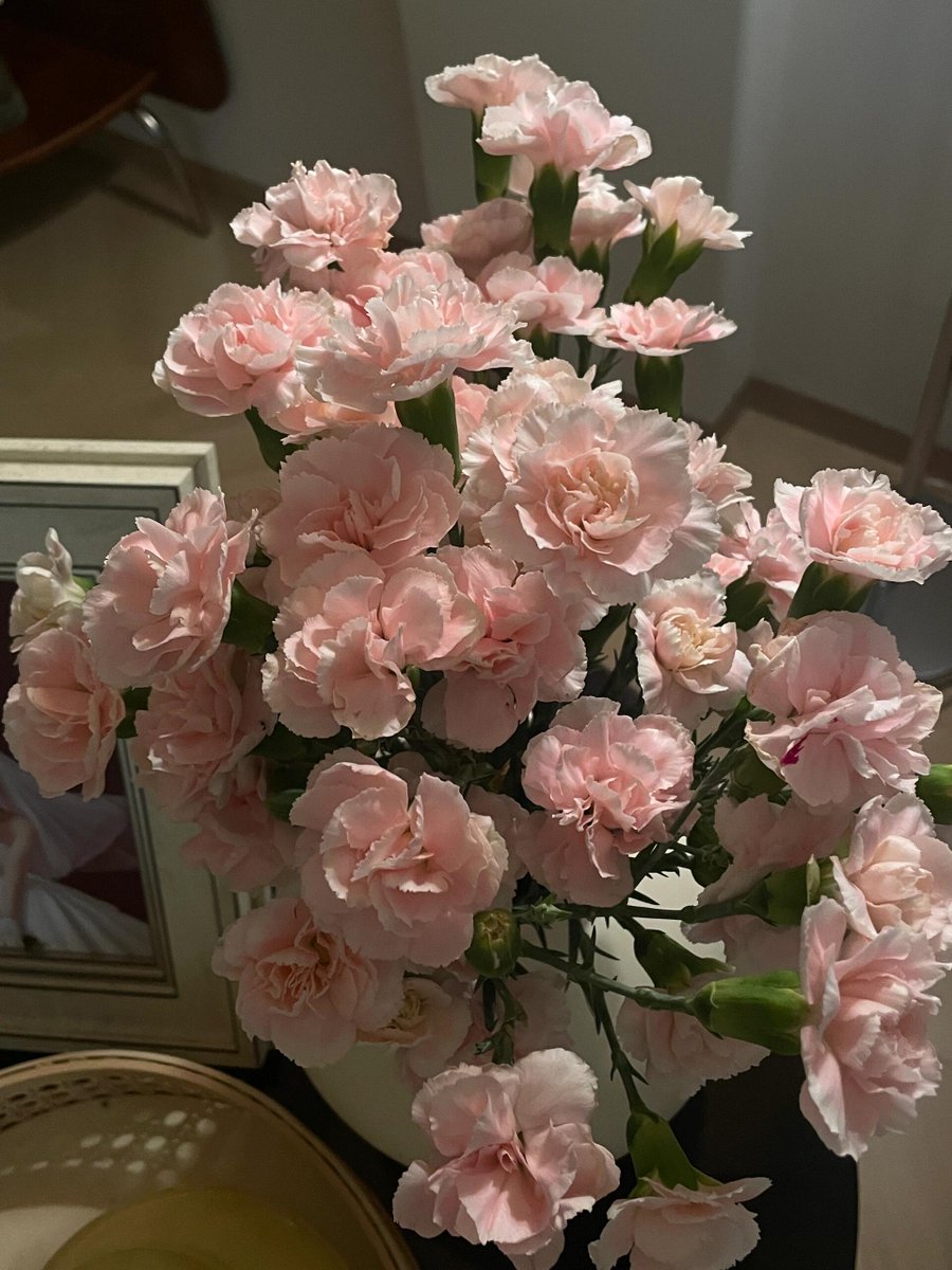 Gabi Arbib tweet media