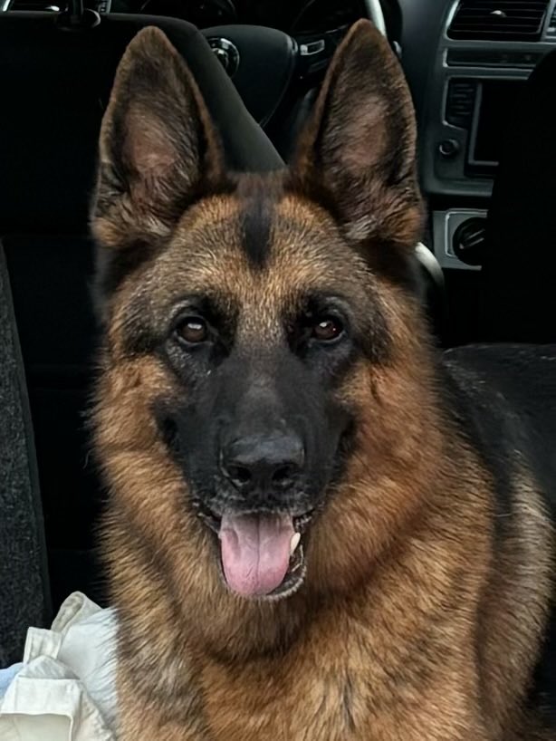 Remy Delpon tweet media