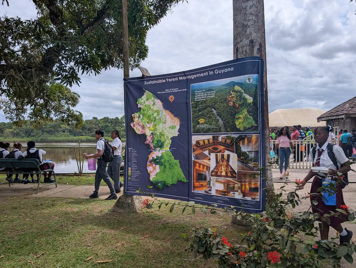 FAOCaribbean's tweet photo. 🌳Guyana joins the world in celebrating International Day of Forests. 🌳 With over 85% forest coverage, sustainability is key through the Low Carbon Development Strategy #LCDS —supporting forests and livelihoods. #ForestsAndEconomies #IDF2026 @UNGuyana https://t.co/yPGzDJMkjX