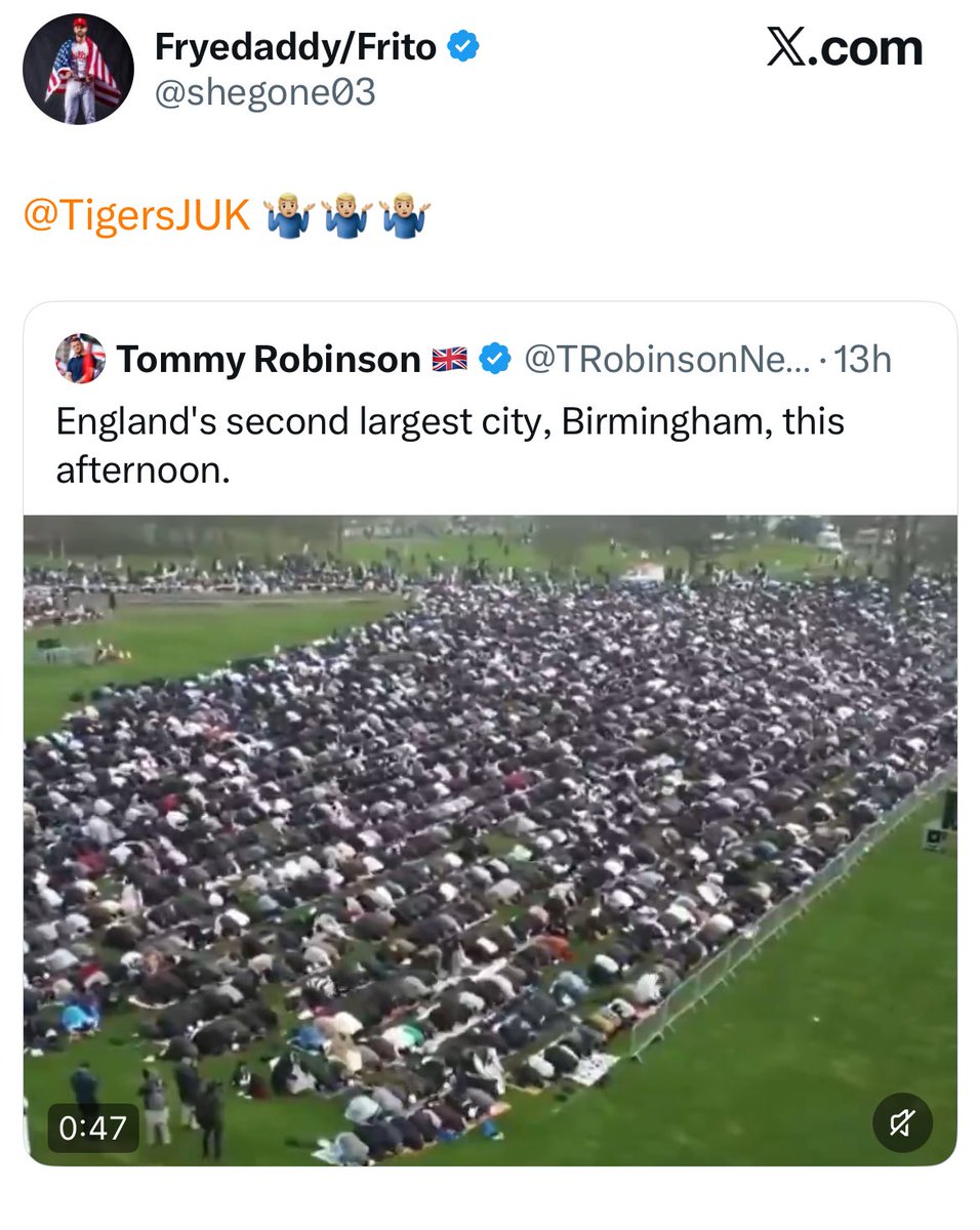 Jed 🇬🇧 tweet media