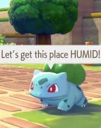 Sunny @ Home tweet media