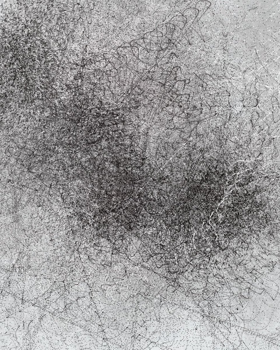 White Koala tweet media