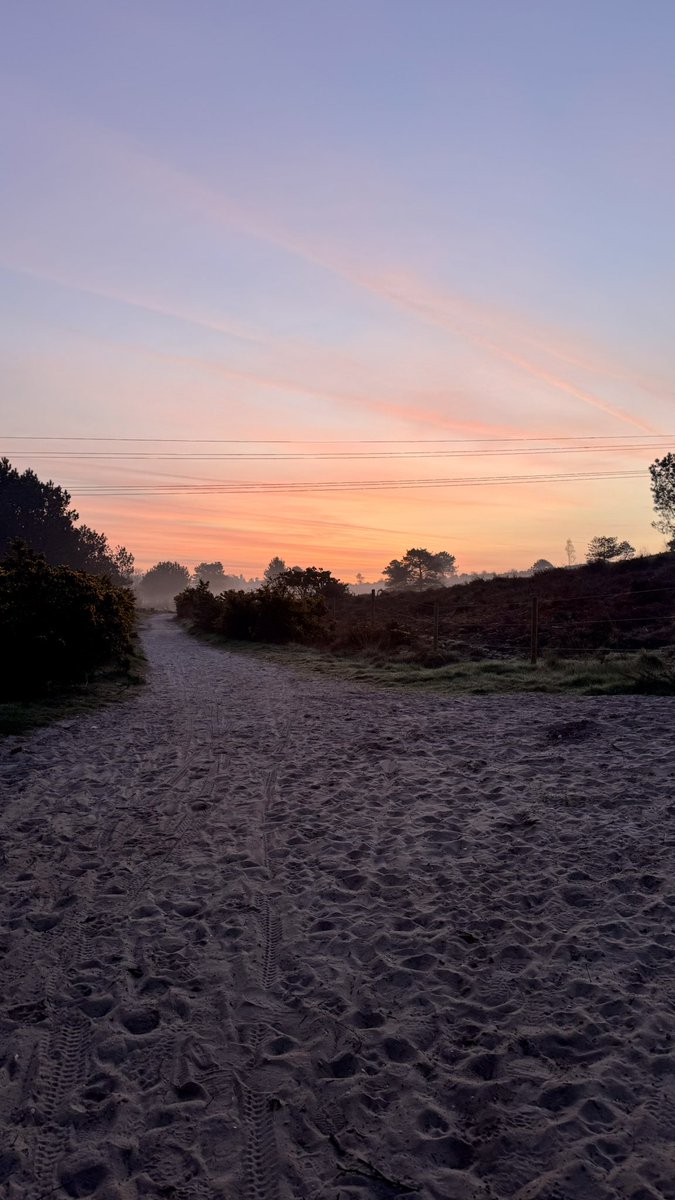 Mark Morris tweet media