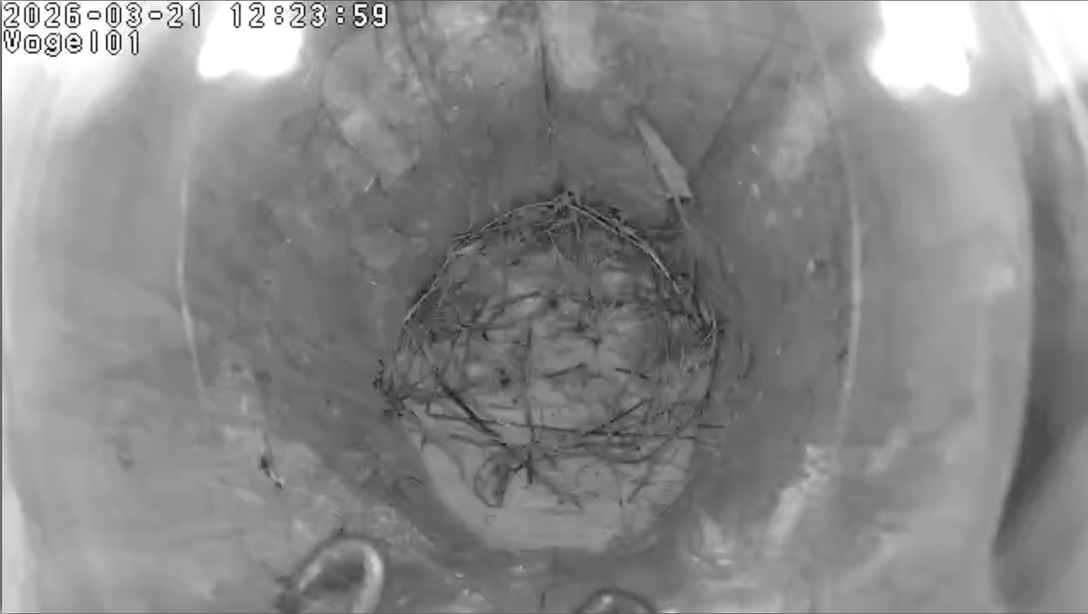 Thomas Wagner tweet media