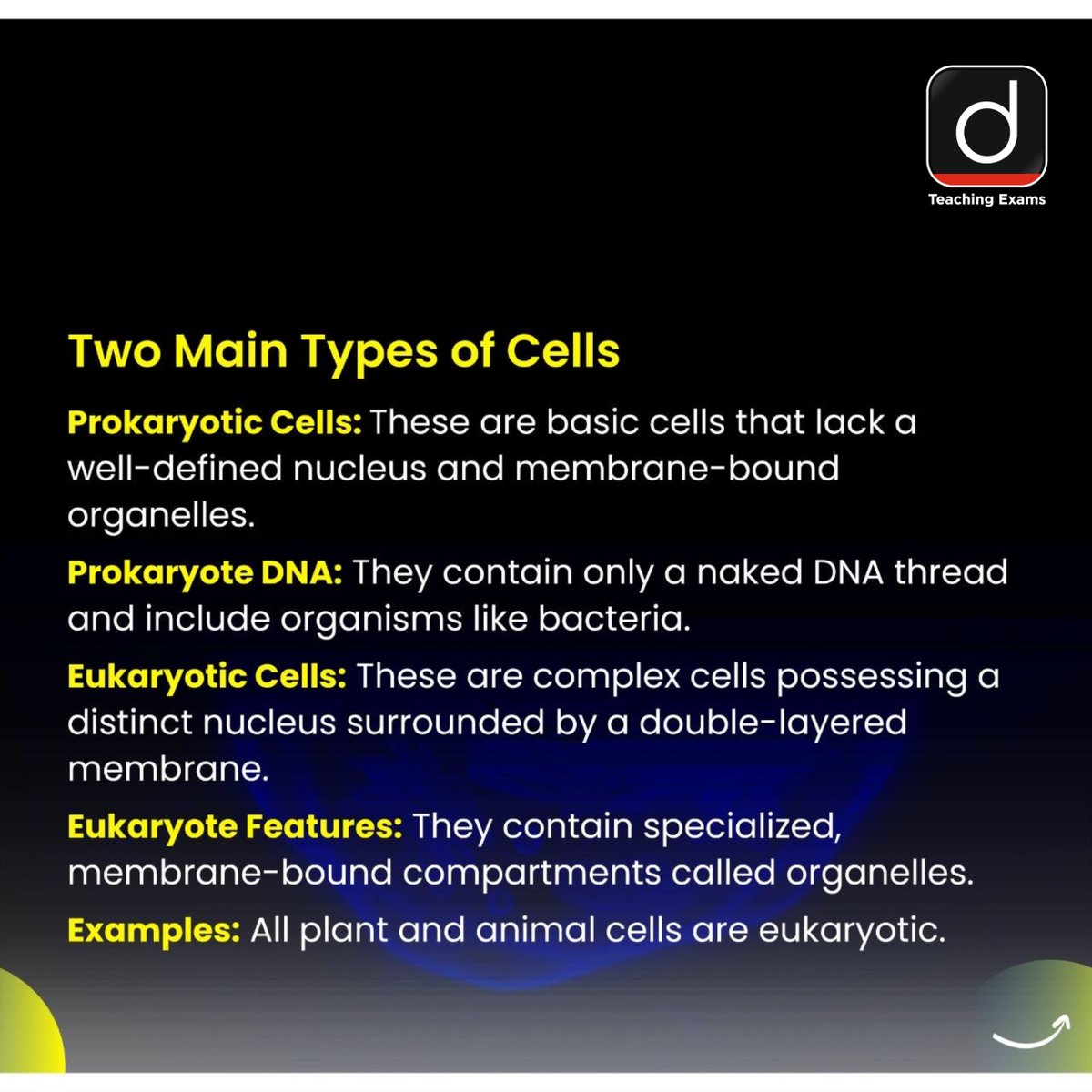 Drishtiteaching's tweet photo. The cell is the smallest unit of life that powers every living organism, from simple bacteria to complex plants and animals. 

#CellBiology #BiologyBasics #CellStructure #ScienceEducation #LifeSciences #BiologyLearning https://t.co/JNYLb4wuLN