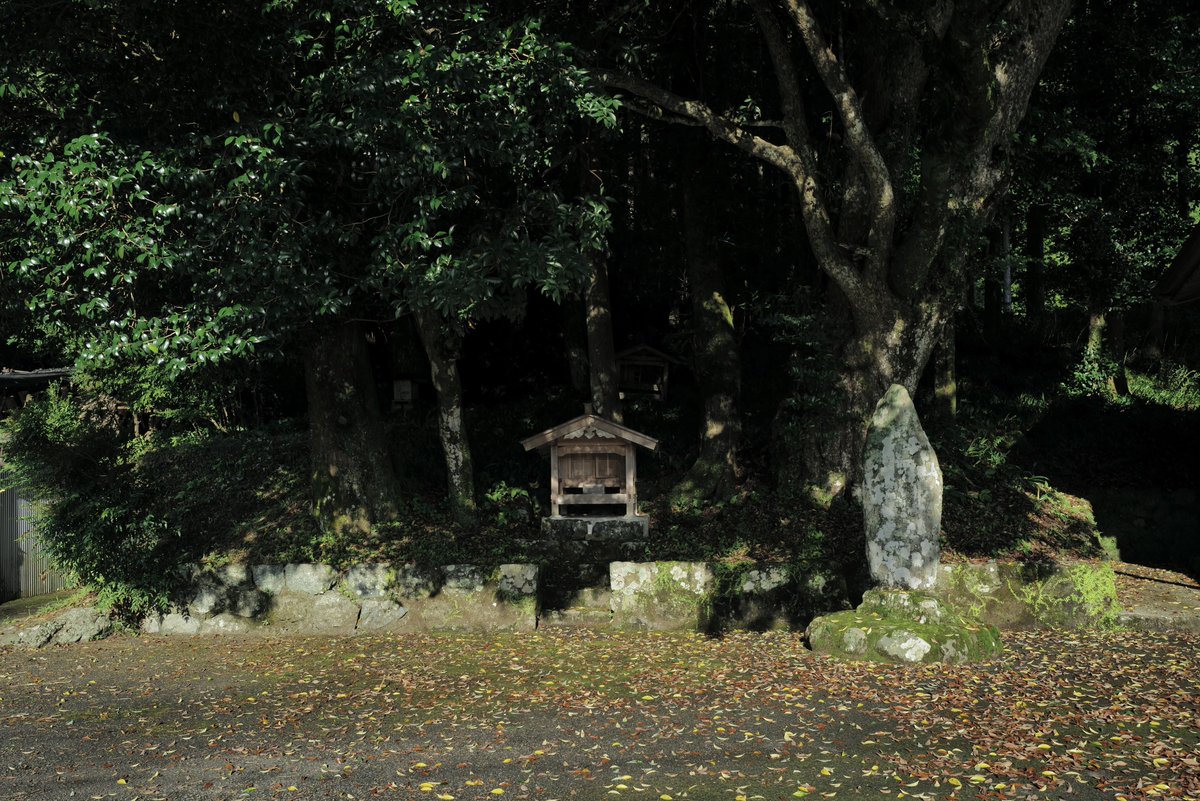 Kameizumi_Sake's tweet photo. 高知県。 https://t.co/9z9d7bsYVa