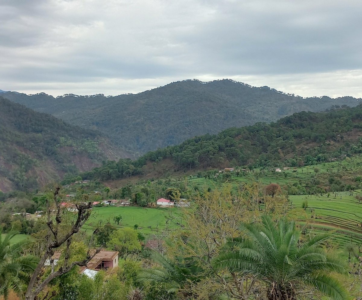 Sohan Singh Thakur tweet media