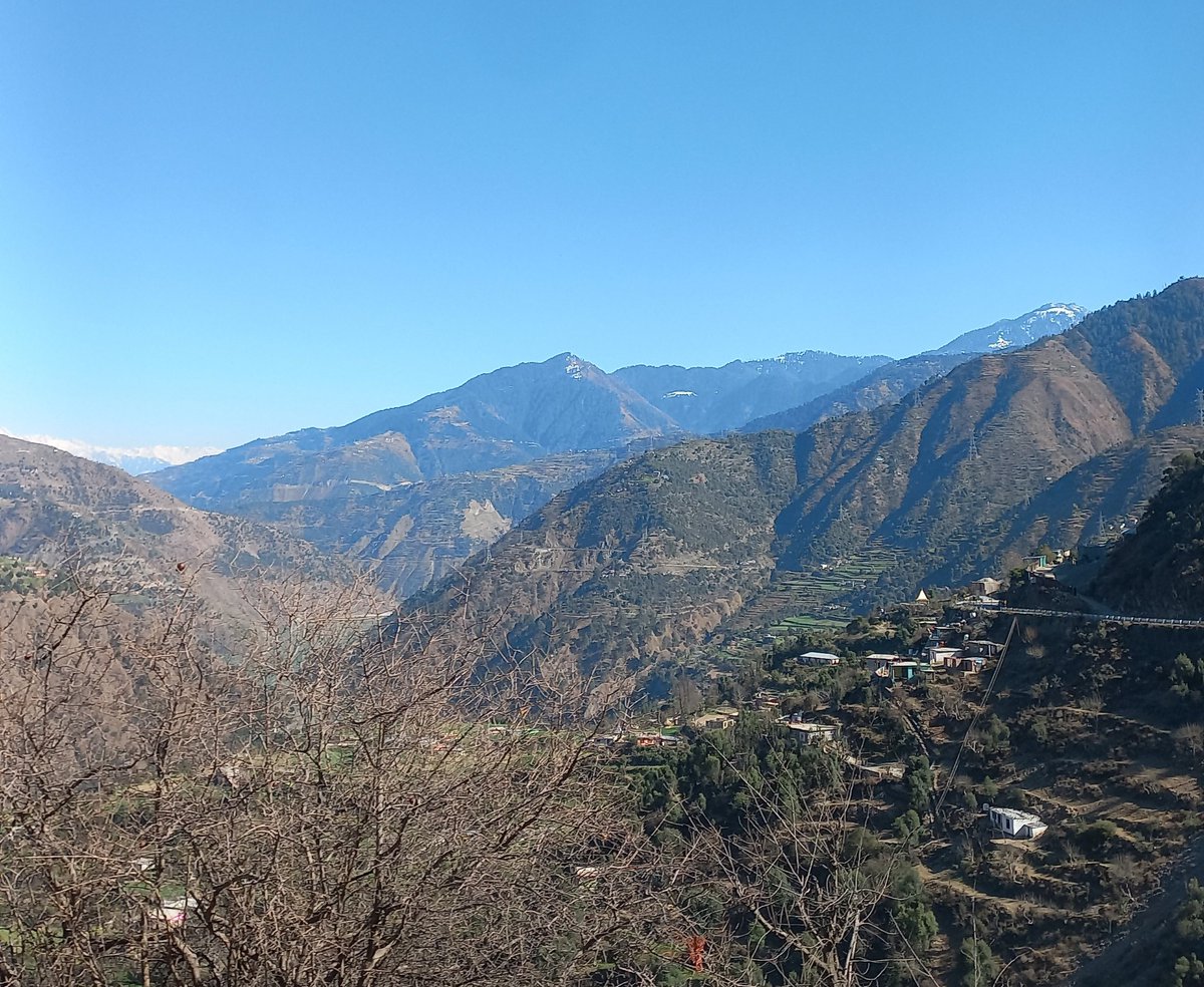 Sohan Singh Thakur tweet media